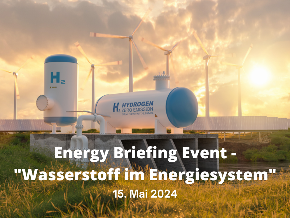 Energy Briefing Event 2024