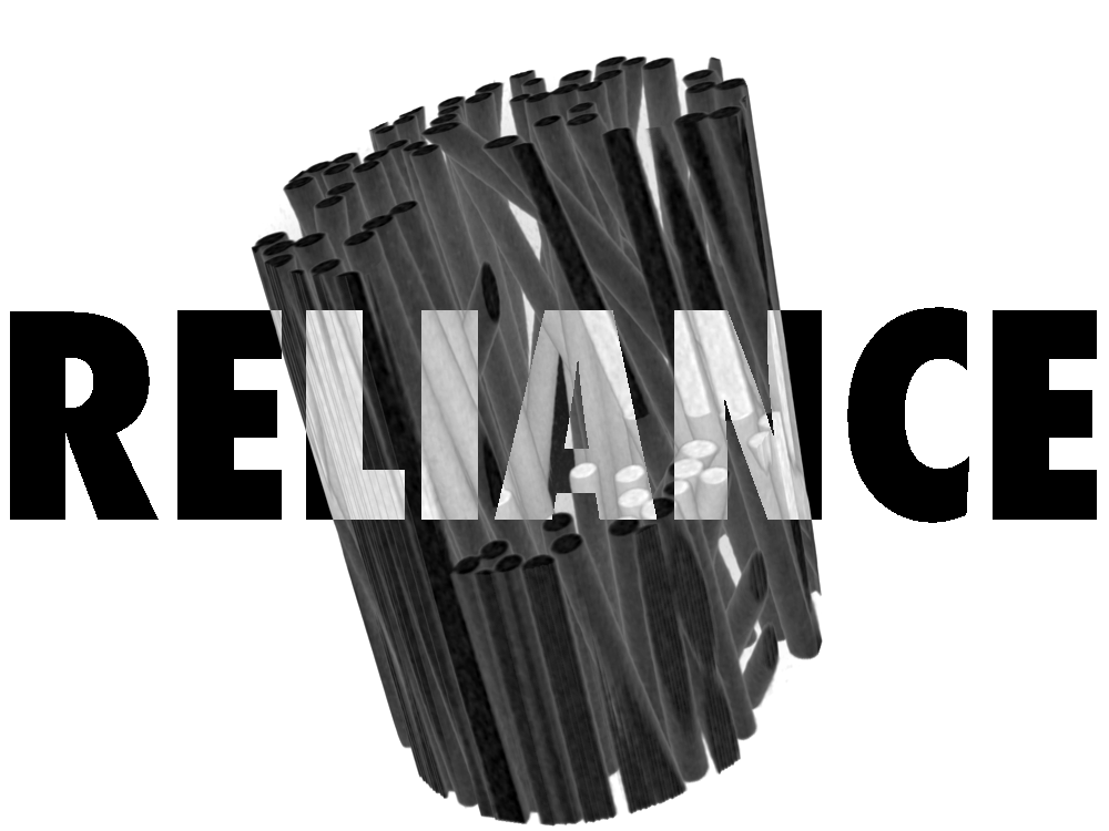 General Assembly 2026 of the RELIANCE doctoral network