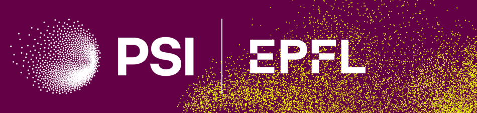 WPMAG EUROfusion Final Meeting